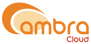 Servizio Ambra Cloud Professional Link