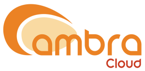 Servizio Ambra Cloud Professional Link