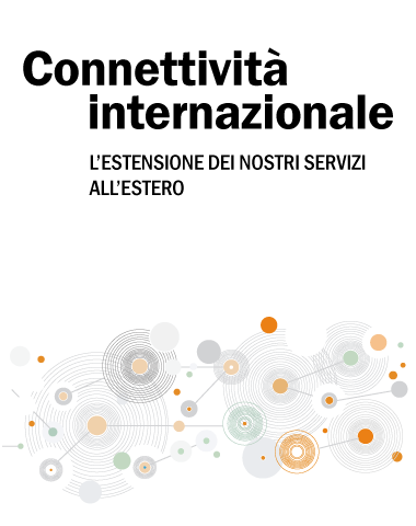 Connettività Internazionale Professional Link