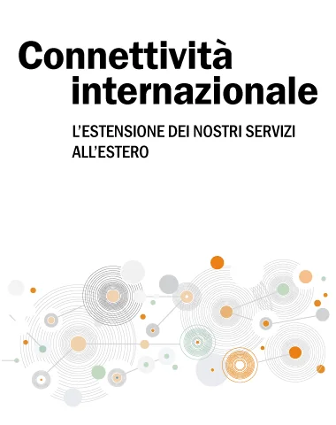 Connettività Internazionale Professional Link