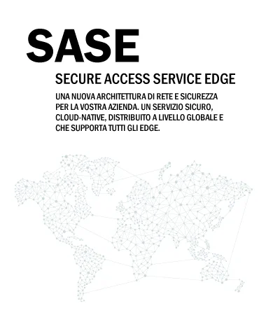 SASE Secure Access Service Edge Professional Link