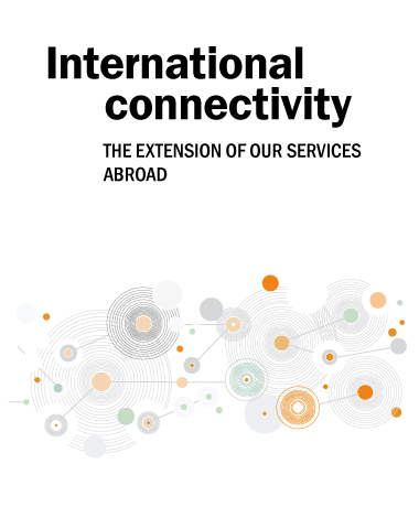 Connettività Internazionale Professional Link
