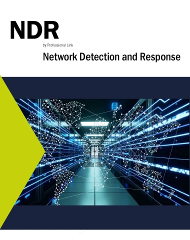Network Detection and Response Professional Link