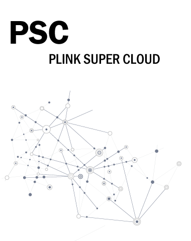 PLINK Super Cloud Professional Link