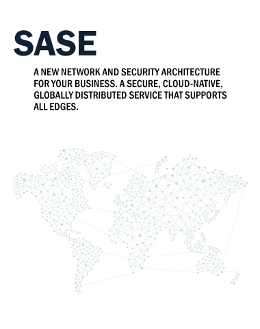 SASE Secure Access Service Edge Professional Link