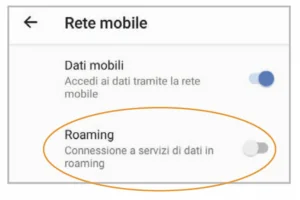 Gestione SIM